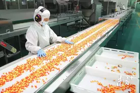 企稳回升！东城一季度工业经济开局良好图片