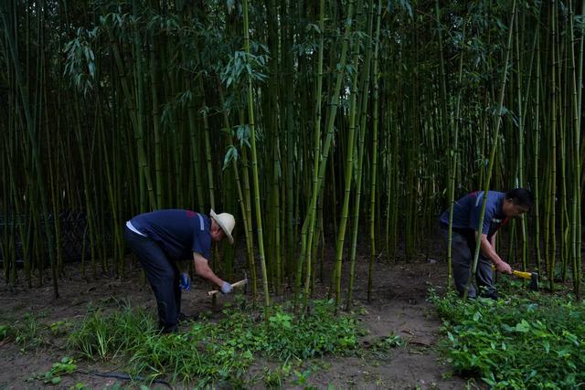 新闻8点见丨“傻孤儿”的二十六个“家”；清华火神队机器人迎新