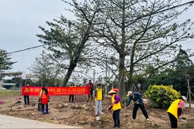 “年例”起新风，植树活动为茂名年例增色添彩图片