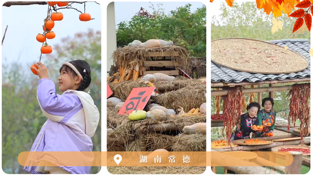 【新华社】文化中国行｜赏秋正当时！“文旅+”新业态为秋日经济注入新活力