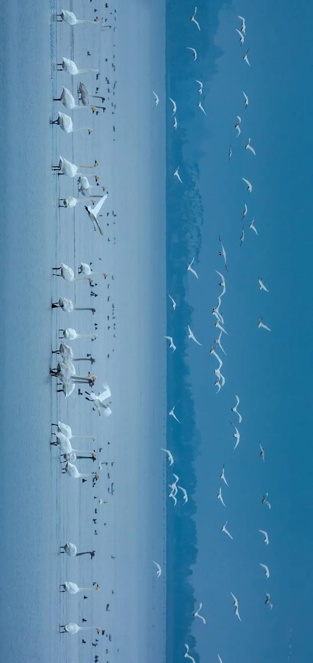 什么是幸福？福州有答案！