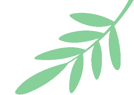 白江湖森林公园第二届戏水活动盛大开幕