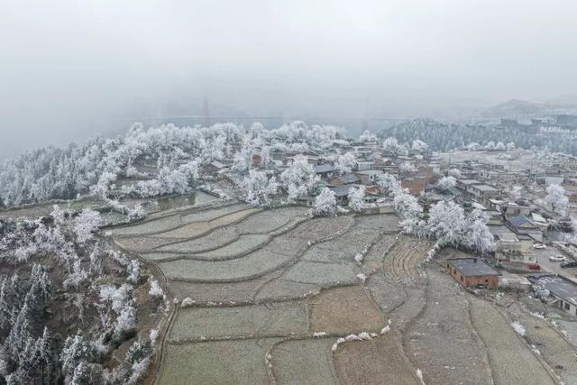 冬日限定！贵州的雾凇秘境藏不住了