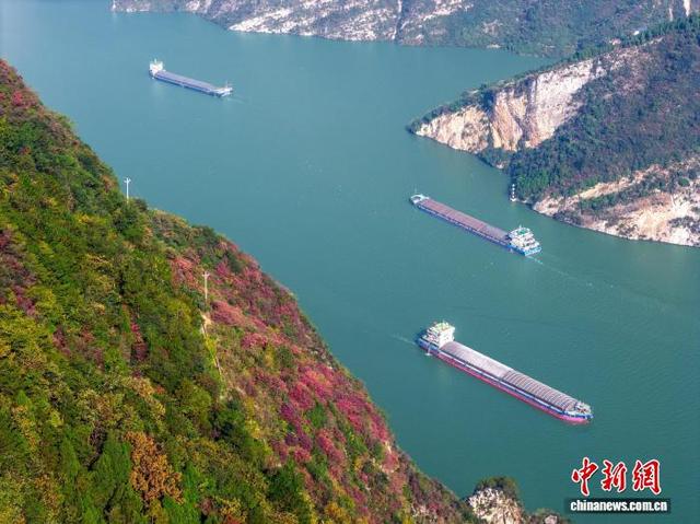 长江西陵峡：碧水红叶相映成画