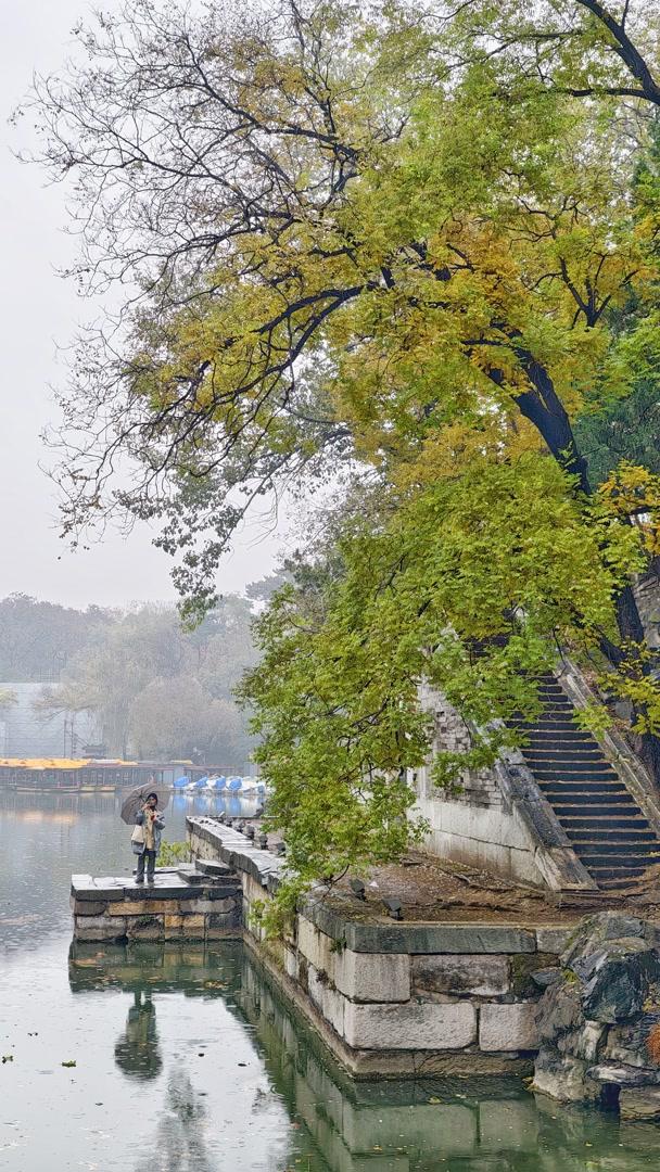 雨落颐和园后溪湖，秋色染透一地金黄