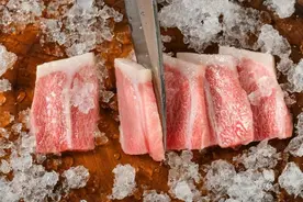 山东蓝润集团：金枪鱼中的劳斯莱斯 “蓝鳍金枪鱼”图片