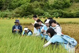 贡献青春力量！华南农业大学“百千万工程”突击队，你最支持哪个？图片