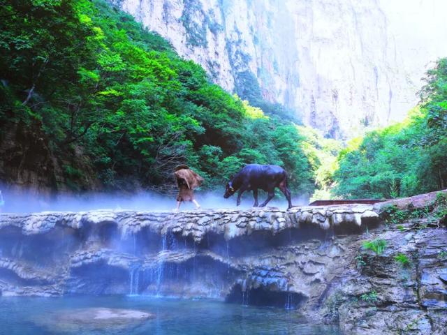 云台山喜获全国案例大奖！