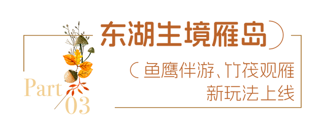 送票｜12月来东湖这样玩，嗨翻了！
