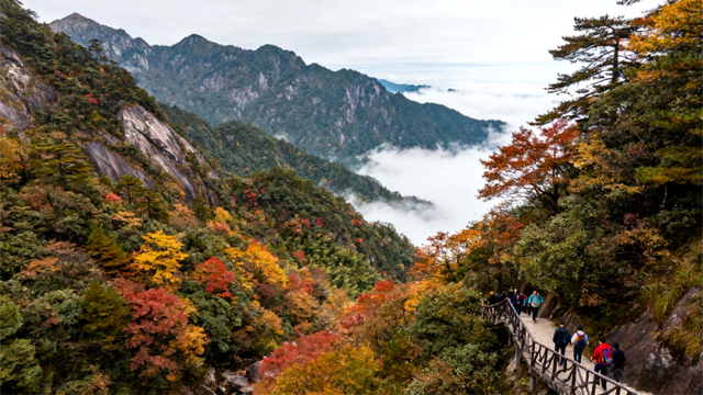 沿着高速去旅行 | 11月限定，畅游武鸣正当时！