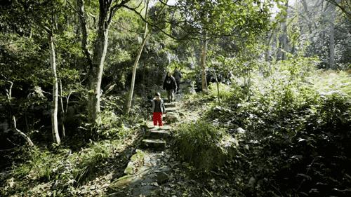 8个好友在福建抱团山居：减少物欲，尝试在山里养育下一代