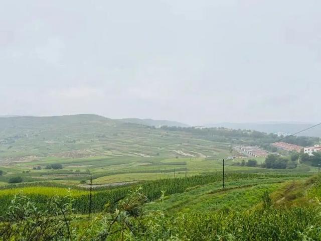 诗“遇”青岚：雨后的乡村