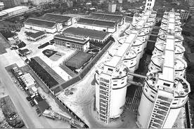 福建省储备粮管理有限公司仙游直属库搬迁重建项目MEC工程（机械、电气、控制设备及服务的总承包工程）正式投入使用图片