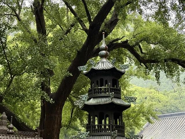灵岩秘境·天命良缘——这个八月，一念千年，不负如来不负卿
