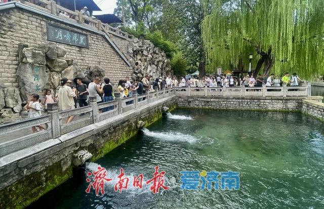 一年四季 泉在济南丨暑假进入后半程 泉水游热度不减