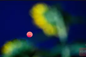 C视觉丨快抬头！本年度 “最低满月” 今晚现身夜空图片