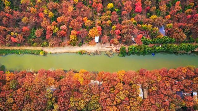 宿来拍丨五彩斑斓