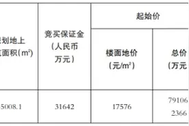 张村河地块17576元/㎡挂牌，楼面地价下降，起拍总价上调图片