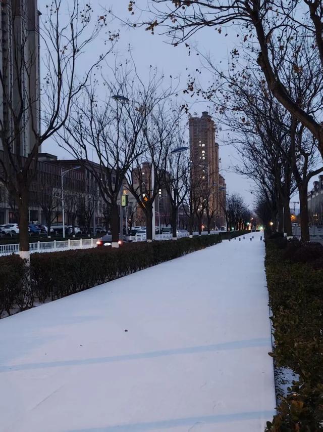 雪后的日照，美成水墨画！附最新闭园公告！