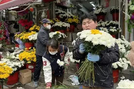 一线探访丨买束花寄哀思！菊花价格翻番仍热销，有店家一天售出两万枝图片