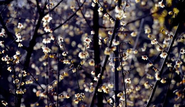 天呐，洛阳的这份「反差感」，绝了！