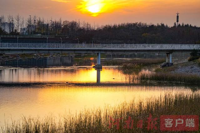 印象港区｜满目金黄，是秋写给冬的告白