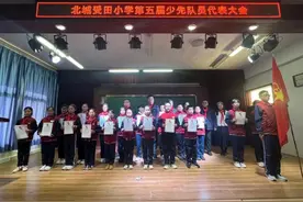 滨城区北城受田小学召开少年先锋队第五次代表大会图片