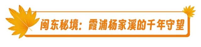 福建暖冬，又是一年好“枫”景