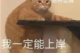 多地明确：省考招录放宽至40岁，咱还考吗？图片