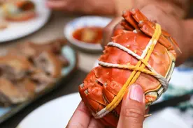 大闸蟹日渐肥美，价格同比去年下跌10%，但这些误区要避开图片