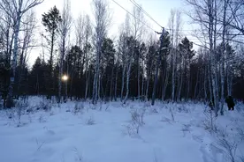 新春走基层｜一起来“找北”：从白桦林到漠河舞厅图片