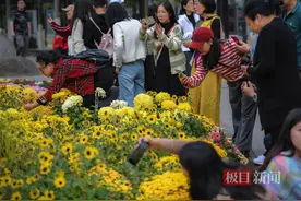 沙湖公园金秋菊花展：人在花中，尽享自然之美图片