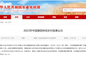 2023年中国美丽休闲乡村名单公示，清远这个村上榜图片