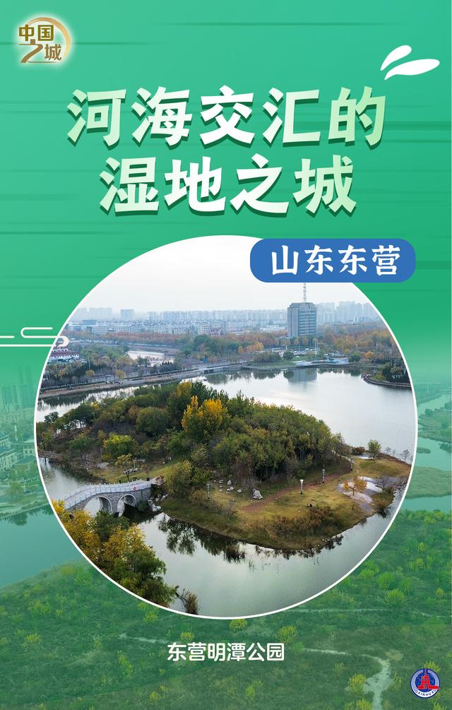 中国之城丨山东东营：河海交汇的湿地之城