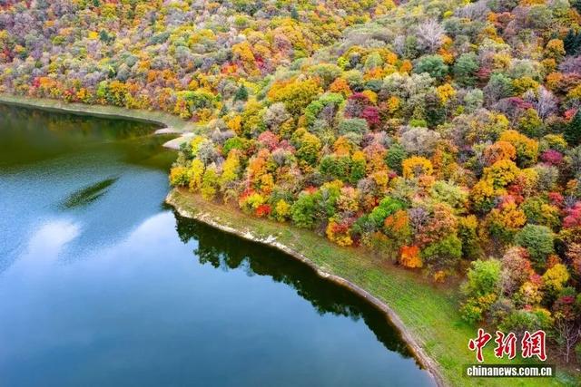 央媒看白山 | 中国新闻网：吉林白山 秋染白山湖风景区 彩林宛如大自然的调色盘