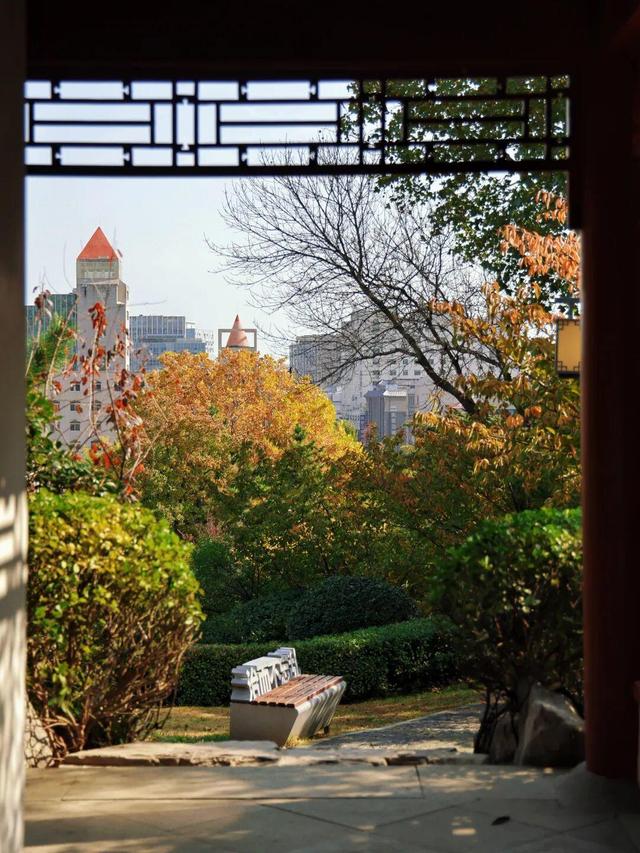 别了，威海的秋天！这些画面值得珍藏一整年