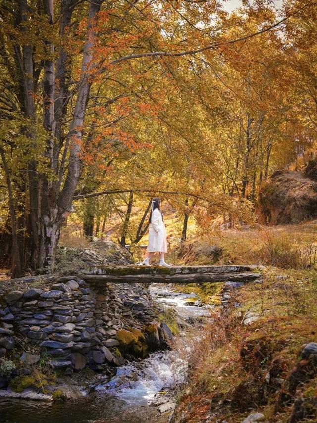 听说放秋假了？新都桥这波秋日余温太美了