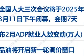 加拿大对美征收25%报复性关税！特朗普：将对等加税；欧美股市重挫，道指两日跌超1300点；对美公告！中国发起首例反规避调查丨每经早参图片