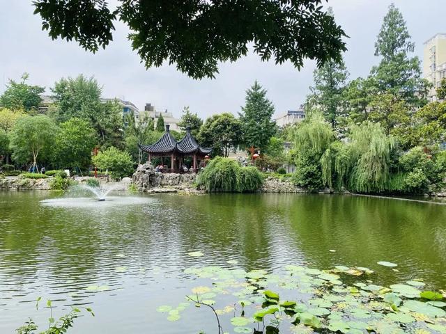 起风了！走，逛公园去！