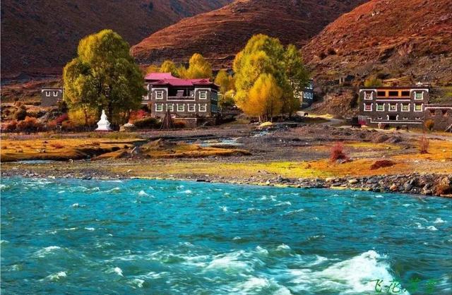 听说放秋假了？新都桥这波秋日余温太美了