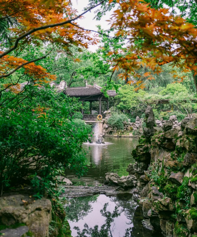 街头大量出现！常州人都已经捡上了