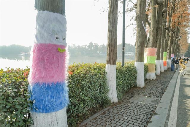 绘彩画、穿毛衣，东湖绿道大树披“彩妆”喜迎新年