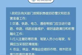 三预警齐发！明天河南雨雪进入最强时段，局部暴雪！图片