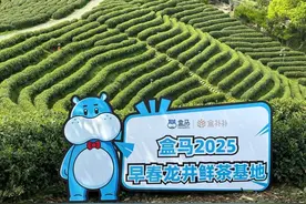 “盒补补”早春鲜茶上市 盒马要做适合年轻人的“口粮茶”图片