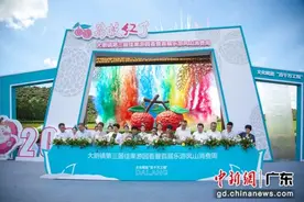 东莞大朗镇第三届佳果游园荟开幕图片