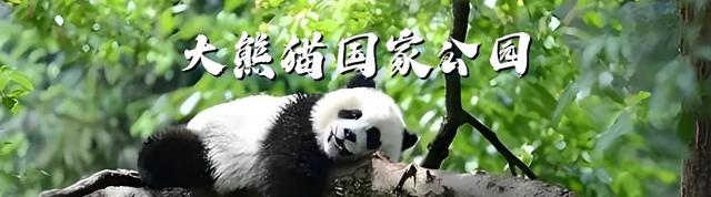 锦绣天府·安逸四川｜单日2.3万人次！广元旺苍县一片红叶催热生态游