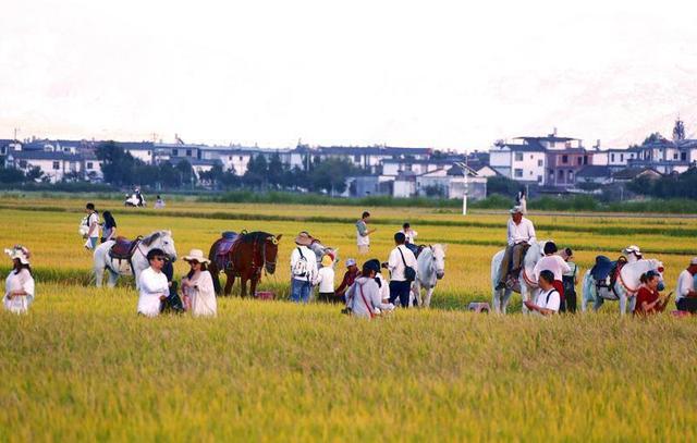 大理喜洲游人如织成旅游热点