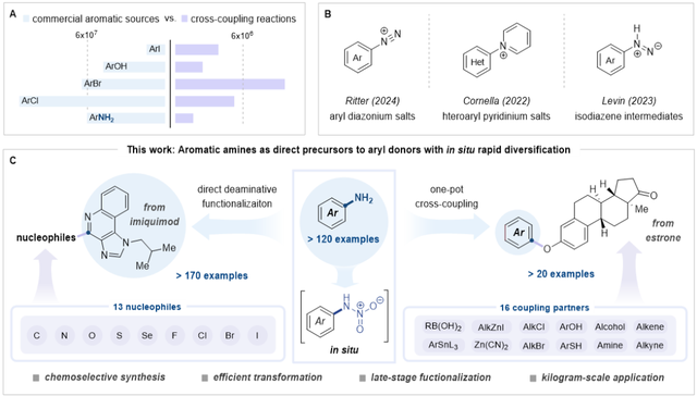 登上Nature！国科大团队破解百年应用难题！