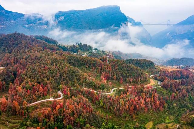 天门村：枫红云海间的千年一瞥