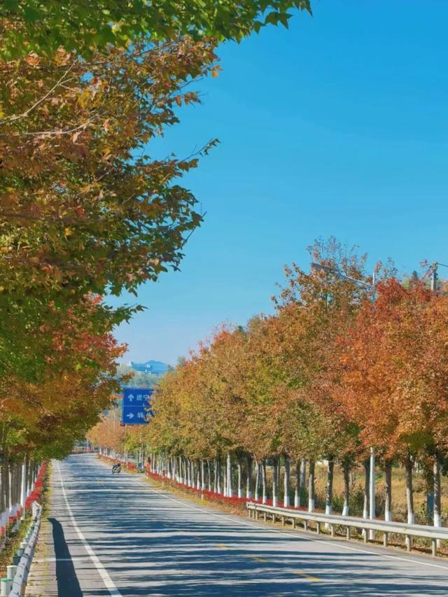 来建宁！去有“枫”的地方